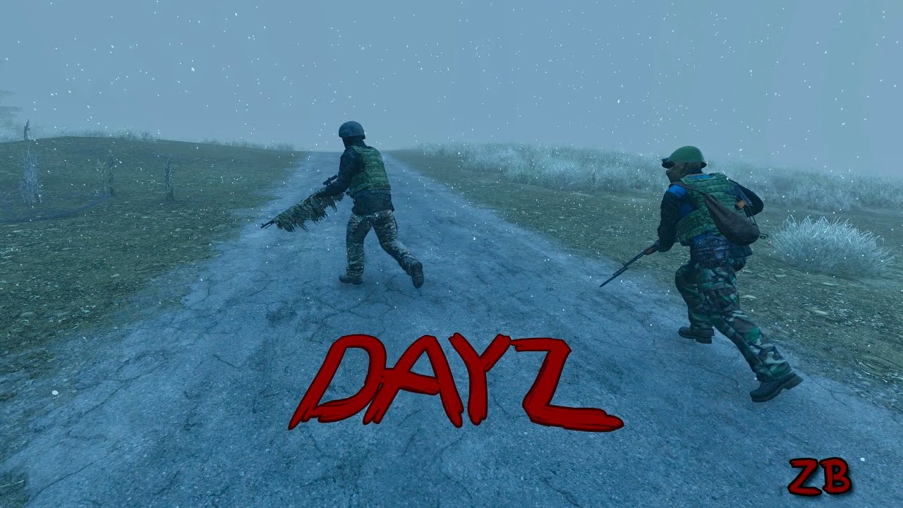 Trust - DayZ