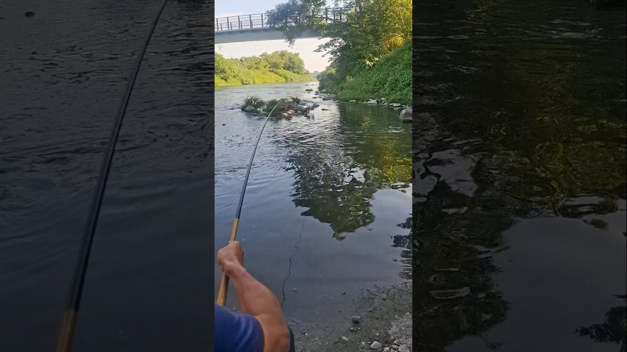 Malaki Ito kasi Bumaluktot ang Pamingwit! #fishing