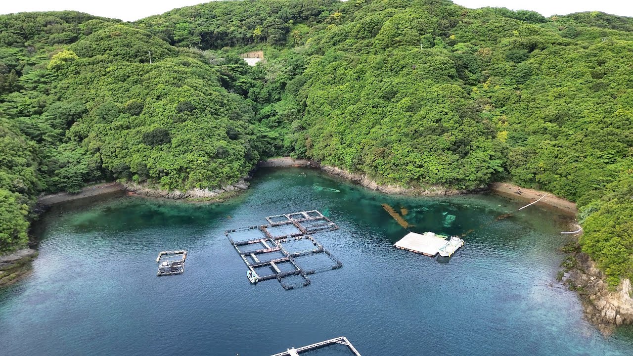 小さな湾に浮かぶ養殖イケスの横でかぶせ釣りしてみたら…