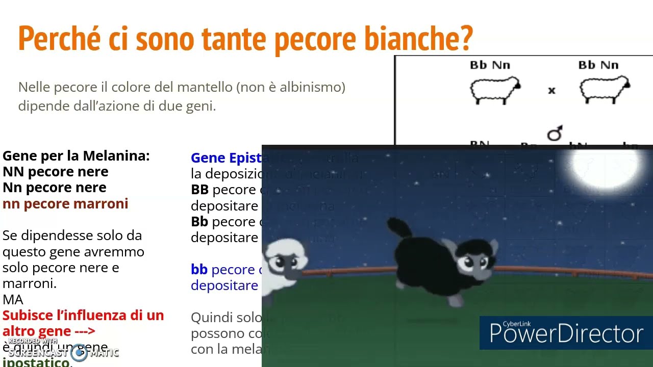 Genetica Mendeliana: L'Epistasi