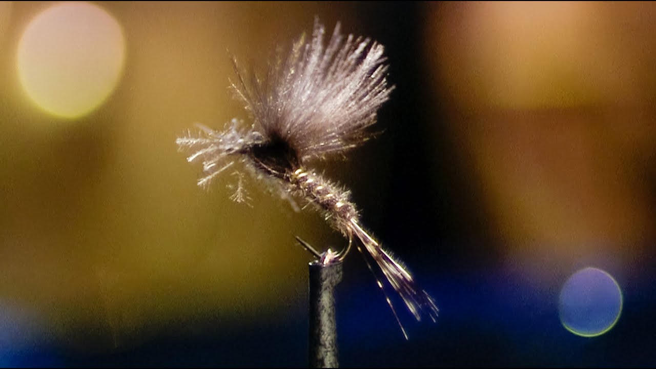 Оливер Эдвардс завязывает свою модель CDC Dun Dry Fly