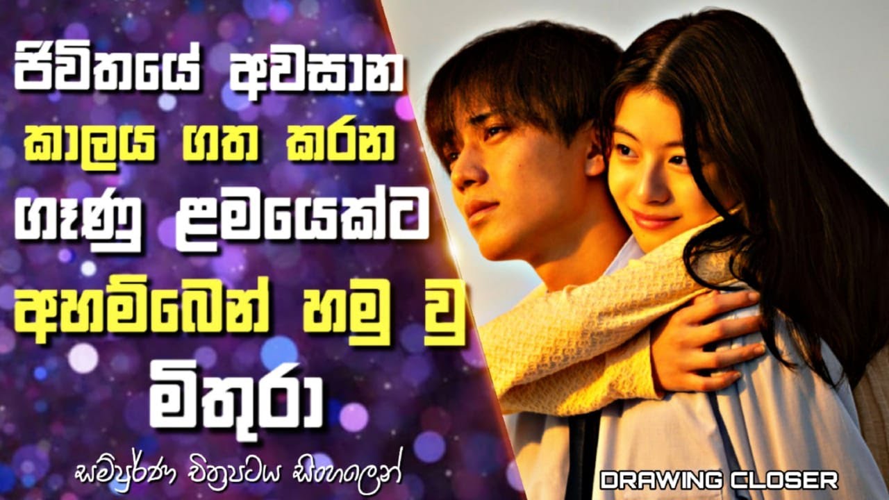 ජිවිතයේ අවසාන කාලය ගත කරන ගෑණු ළමයෙක්ට අහම්බෙන් හමු වු මිතුරා | Drawing Closer Movie Sinhala Review