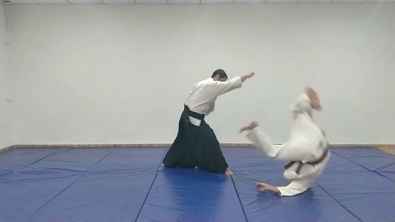 Aikido Basic Techniques: Tsuki - Kokyu Nage