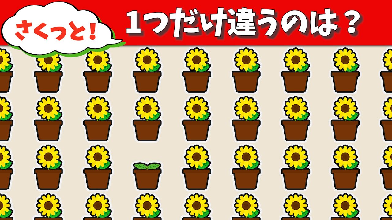楽しい脳トレ！【ガーデニング編】1つだけの間違い探し！【仲間はずれ探し】#23