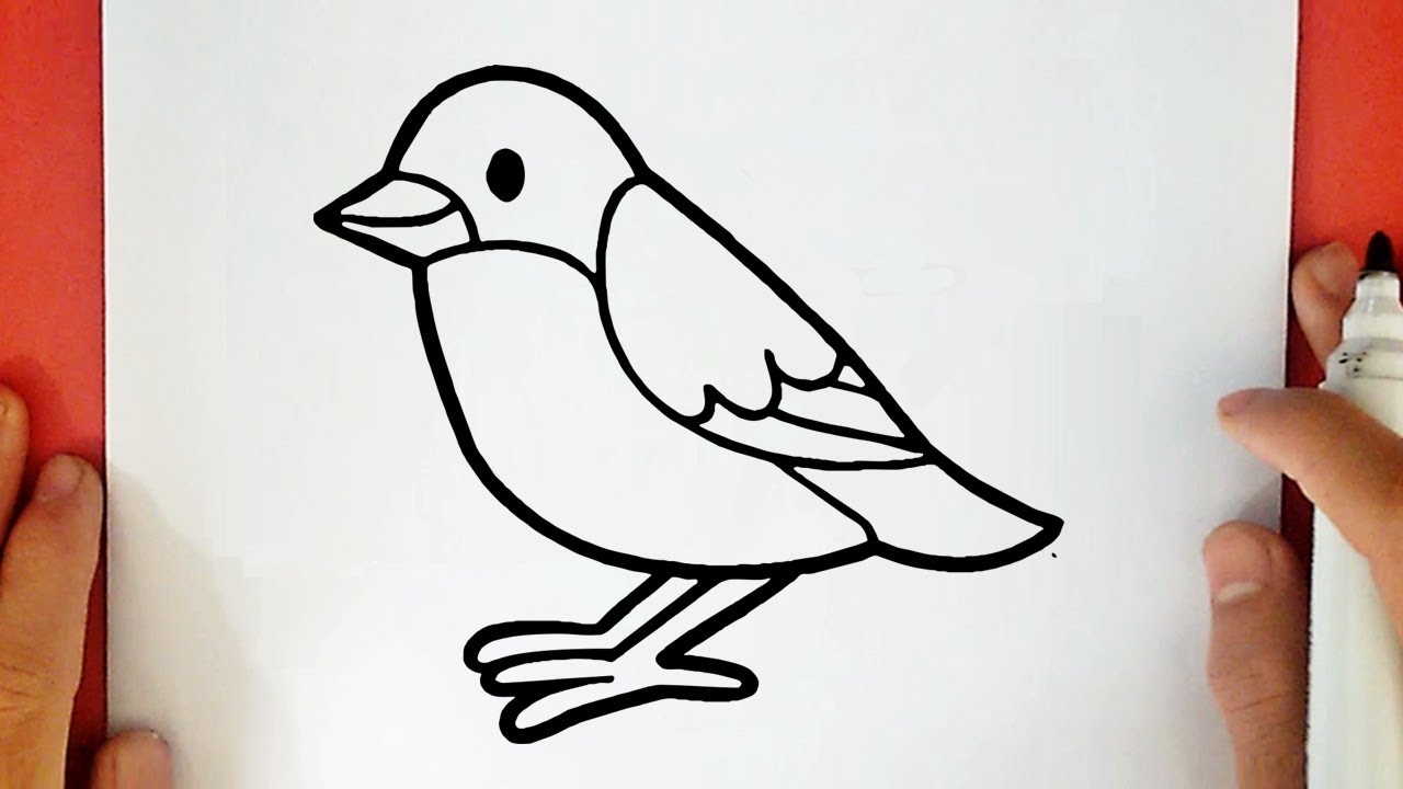 COME DISEGNARE UN UCCELLINO