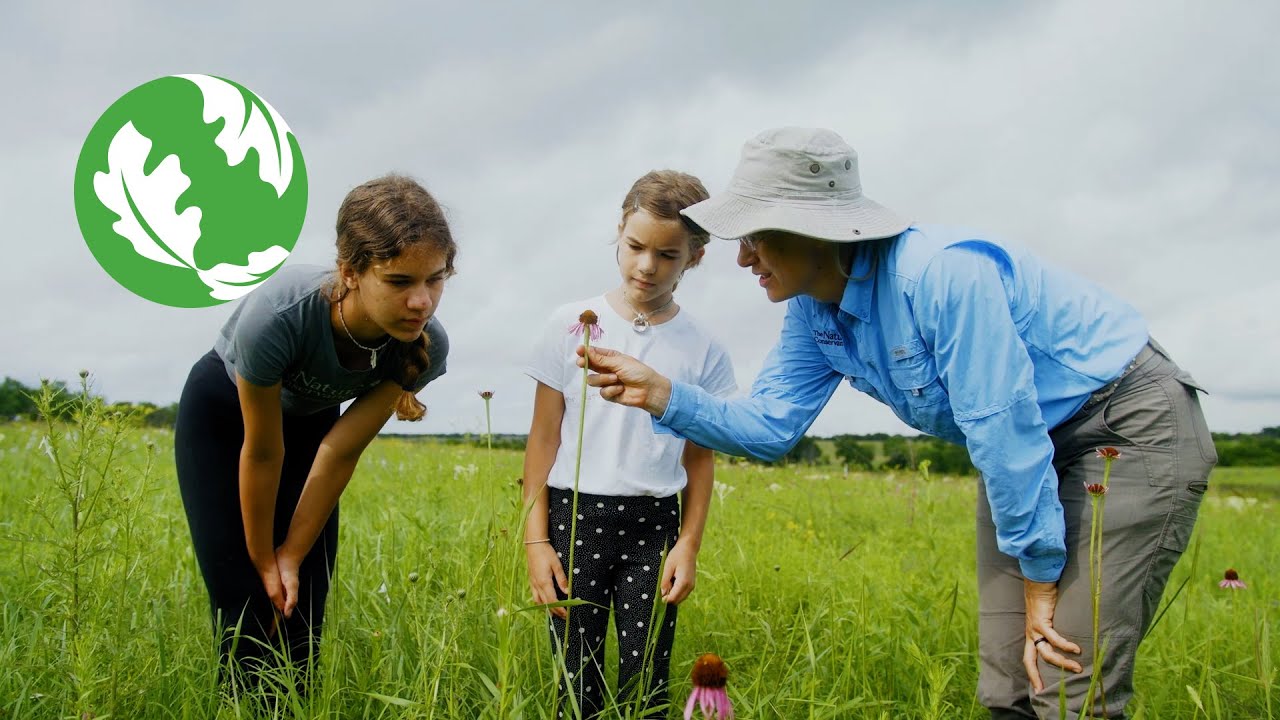 Clymer Meadow Preserve: Protecting Blackland Prairie