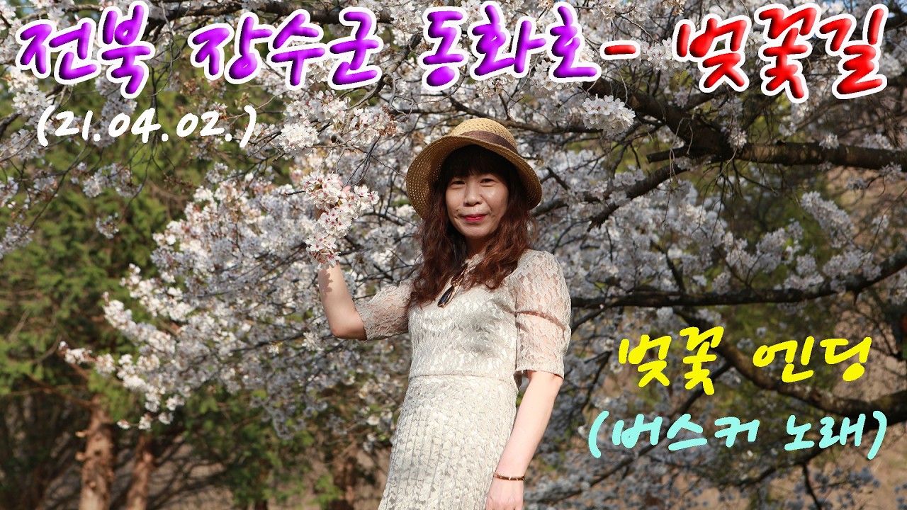 전북 장수군 동화호 벚꽃길- 전북 장수군 번암면／벚꽃 엔딩 (버스커 노래) (21.04.02.)