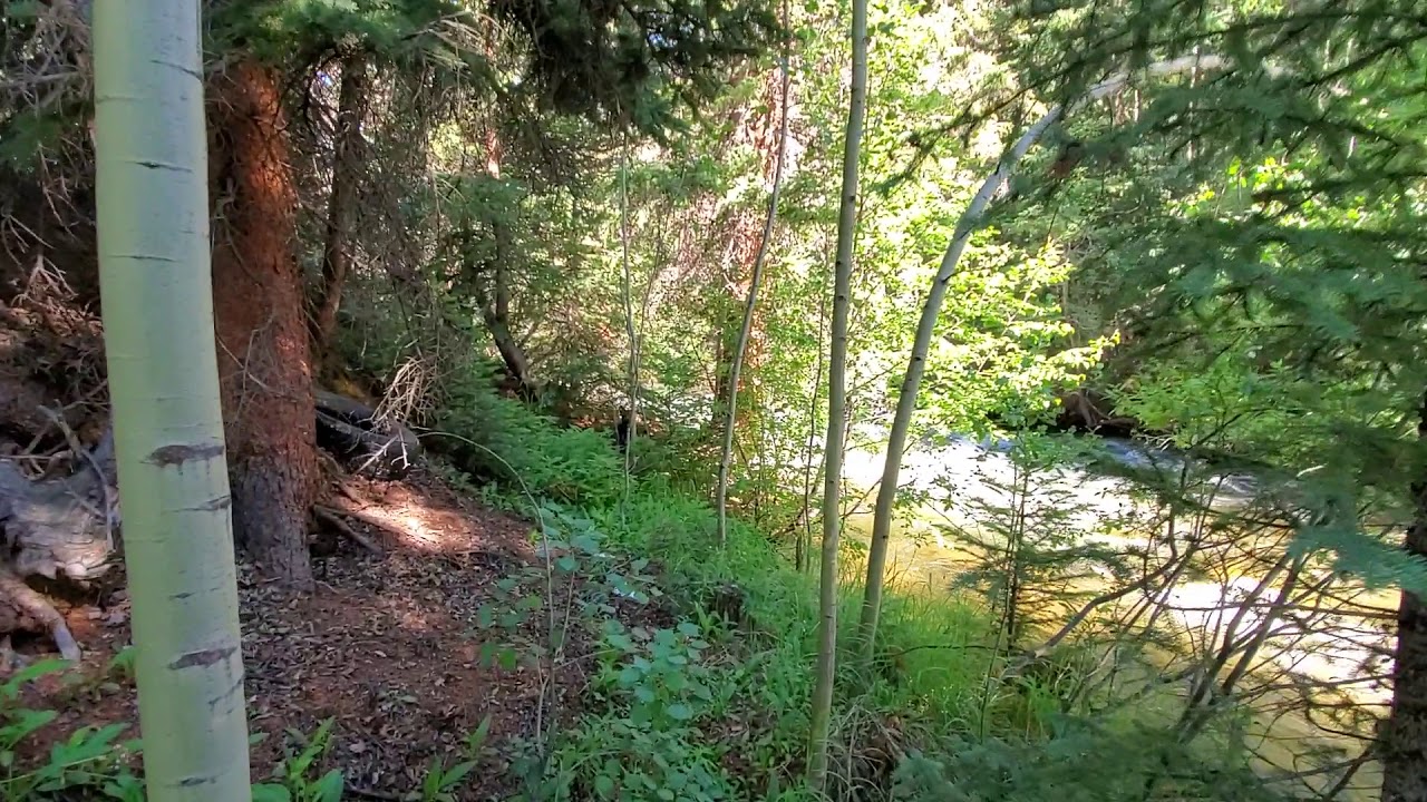 Clear creek Colorado