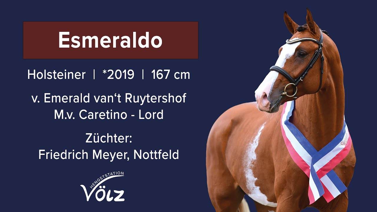 Esmeraldo (Emerald van´t Ruytershof / Caretino / Lord)