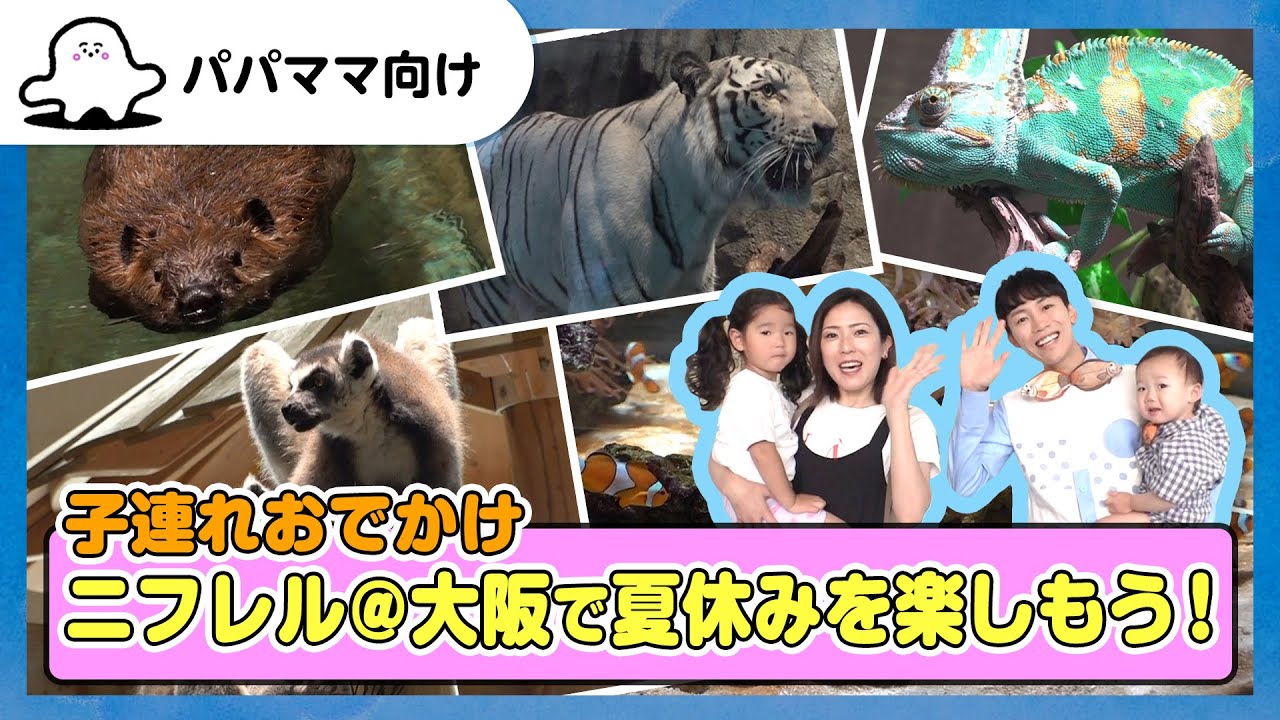 【おとなぷしゅ】ニフレル＠大阪で夏休みを楽しもう！【子連れおでかけ】