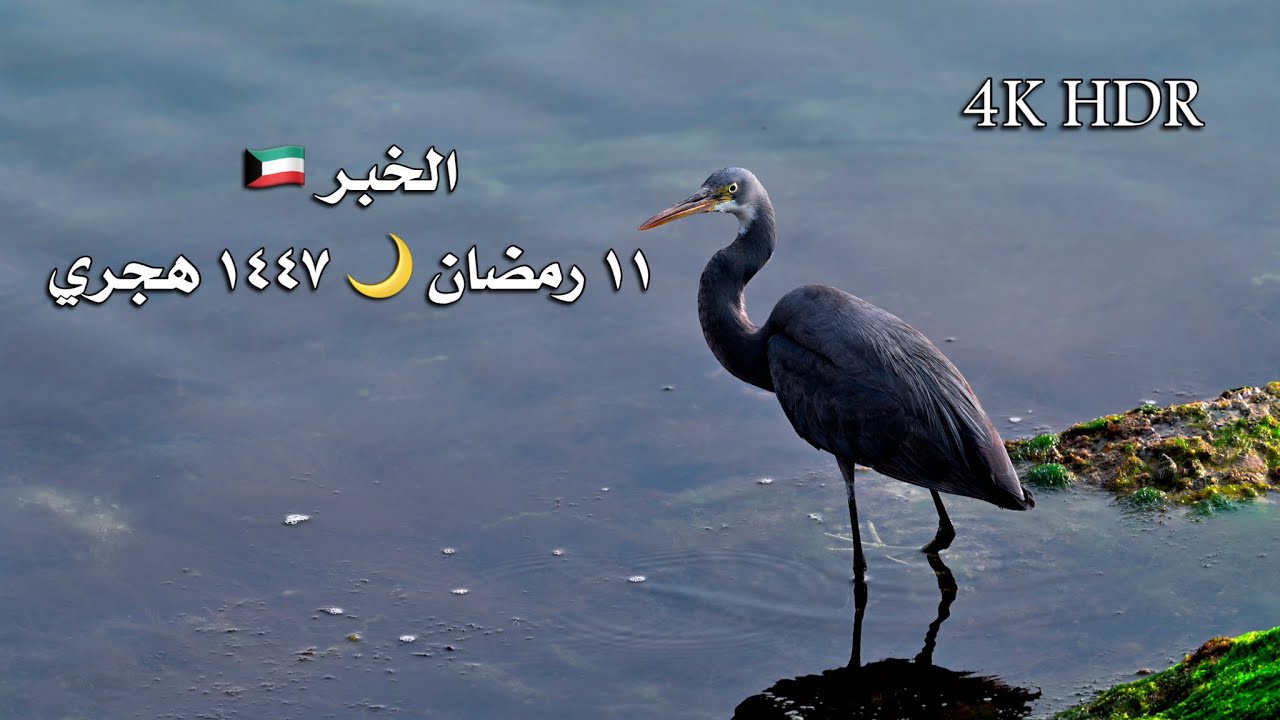 مدينة الخبر ١١ رمضان ١٤٤٧ هجري Al-Khobar City 11 Ramadan 1447 AH