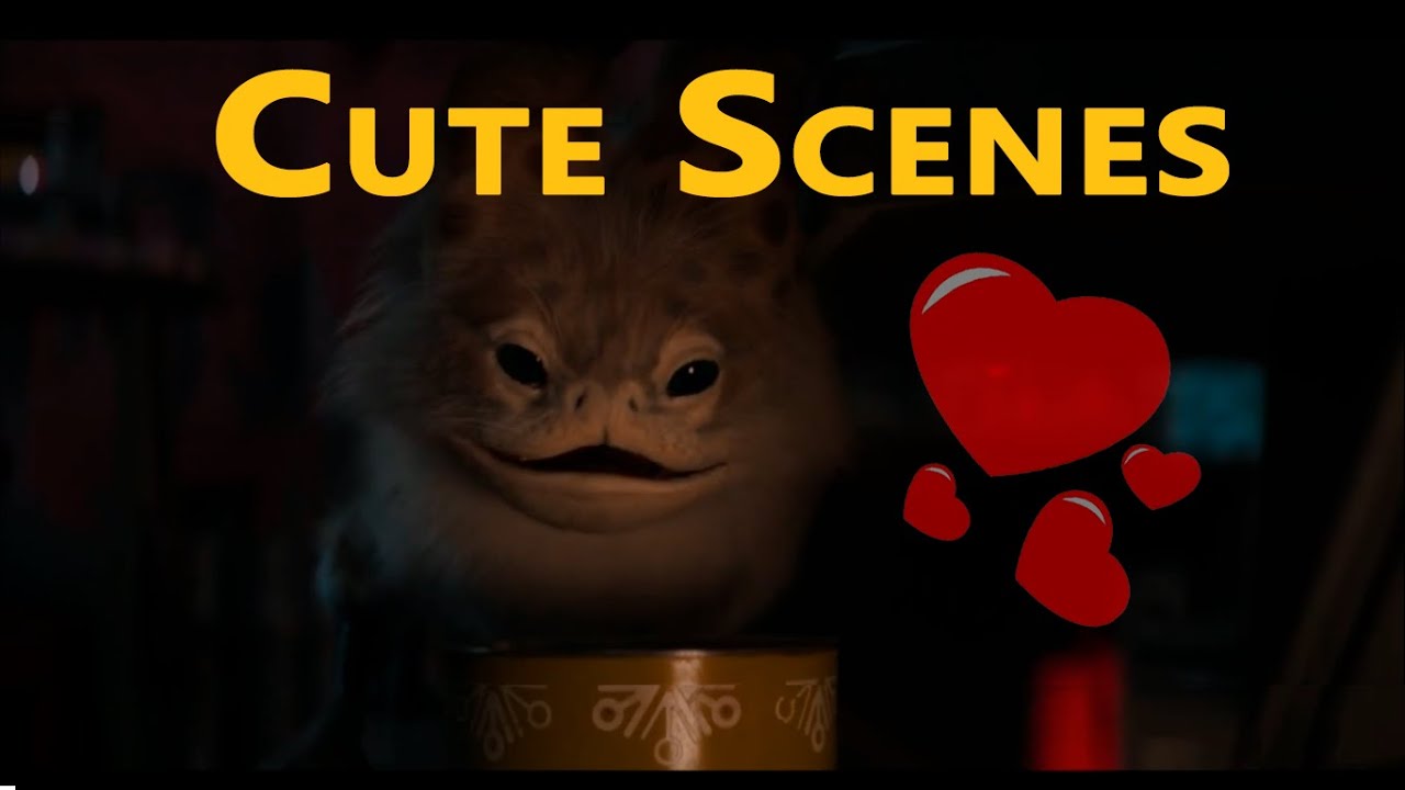 Adorable Loth-Cat Moments, Ahsoka scenes meme