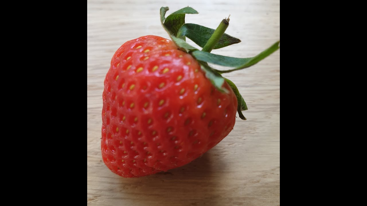 Abundance London - Grow your own strawberries