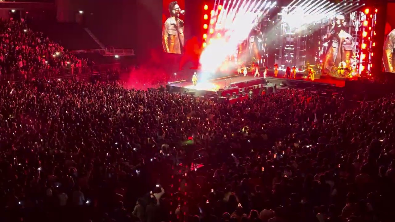 Anirudh show at Dubai 11-01-2026