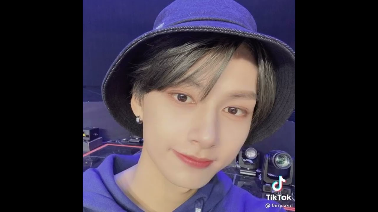 Seventeen tiktoks that will definitely change your bias and bias wrecker 