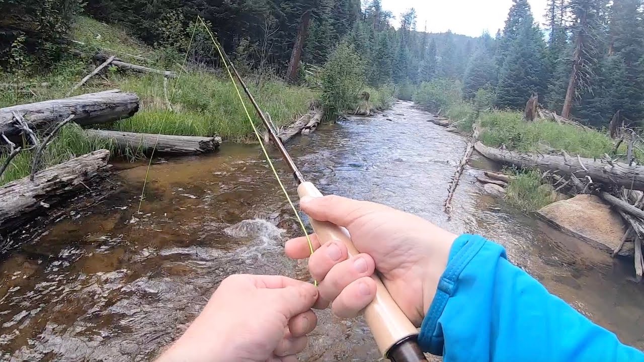 The BEST trout stream 30 min from Denver!