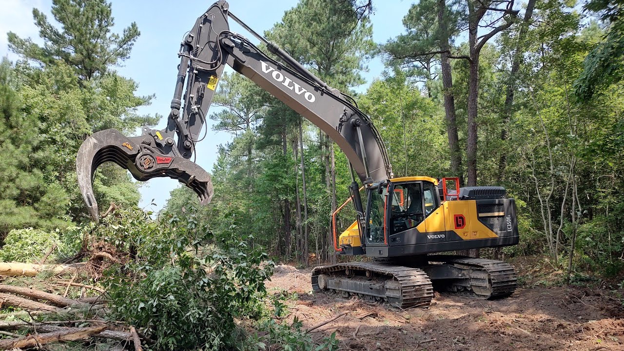 Clearing Down The Old Abandoned Road To Clean it Up