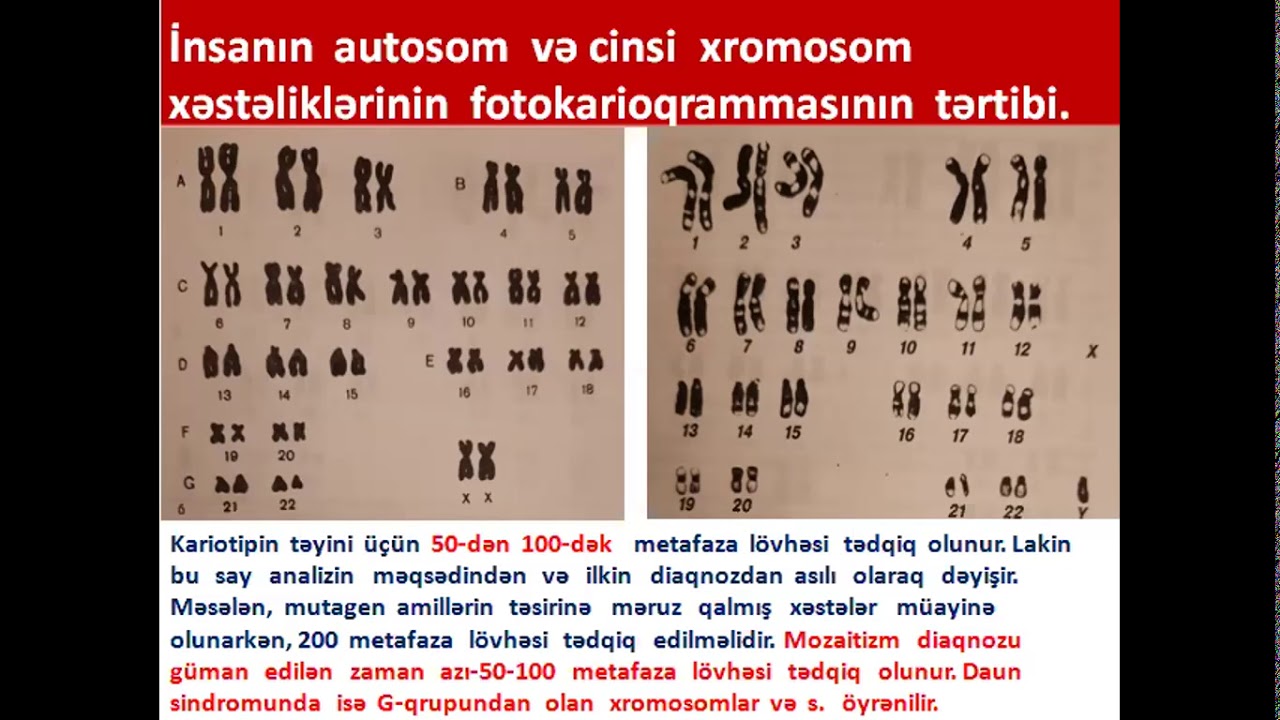 xromosomlar