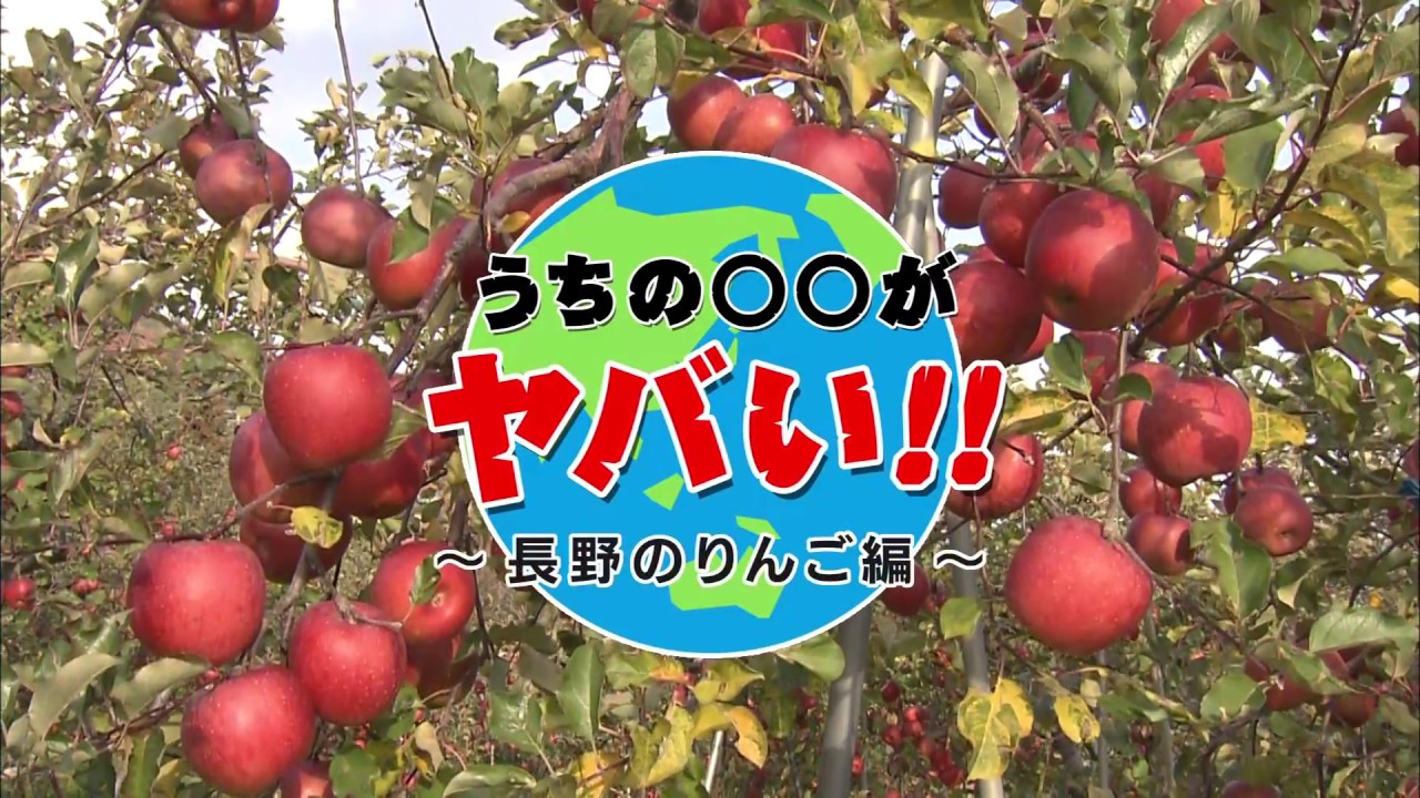 地球温暖化　信州への影響と対策「信州りんごのいま」～うちの〇〇がヤバい!!～｜COOL CHOICE：長野県