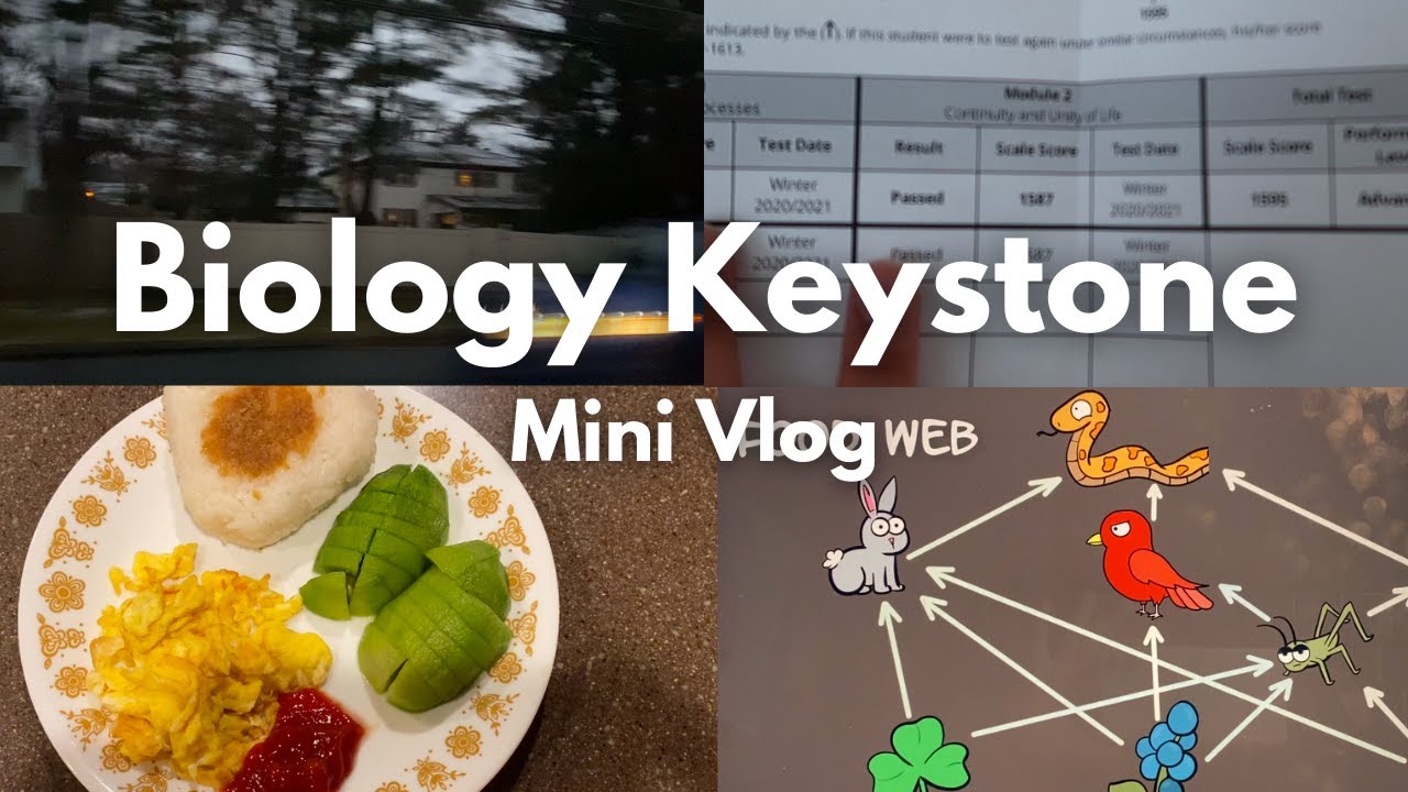 Keystone Biology Prep + Score Reveal 👩🏻&zwj;🔬🍄🌞