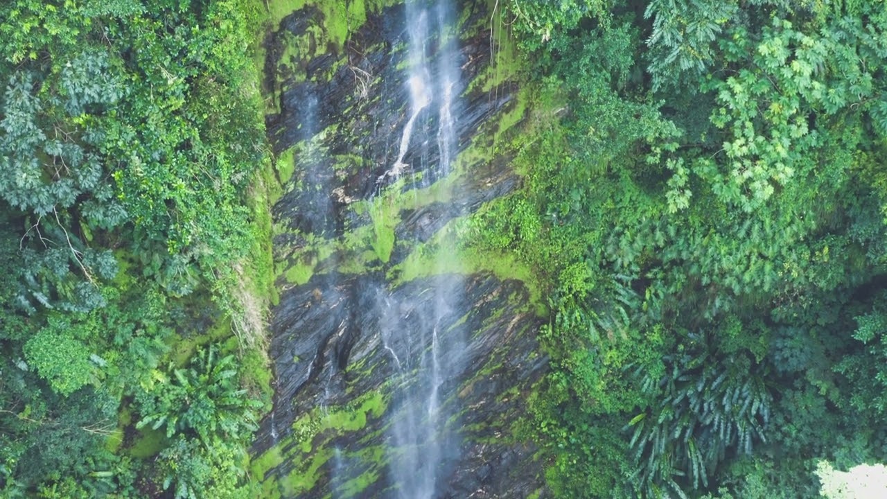 Habio waterfall Trinidad 🇹🇹
