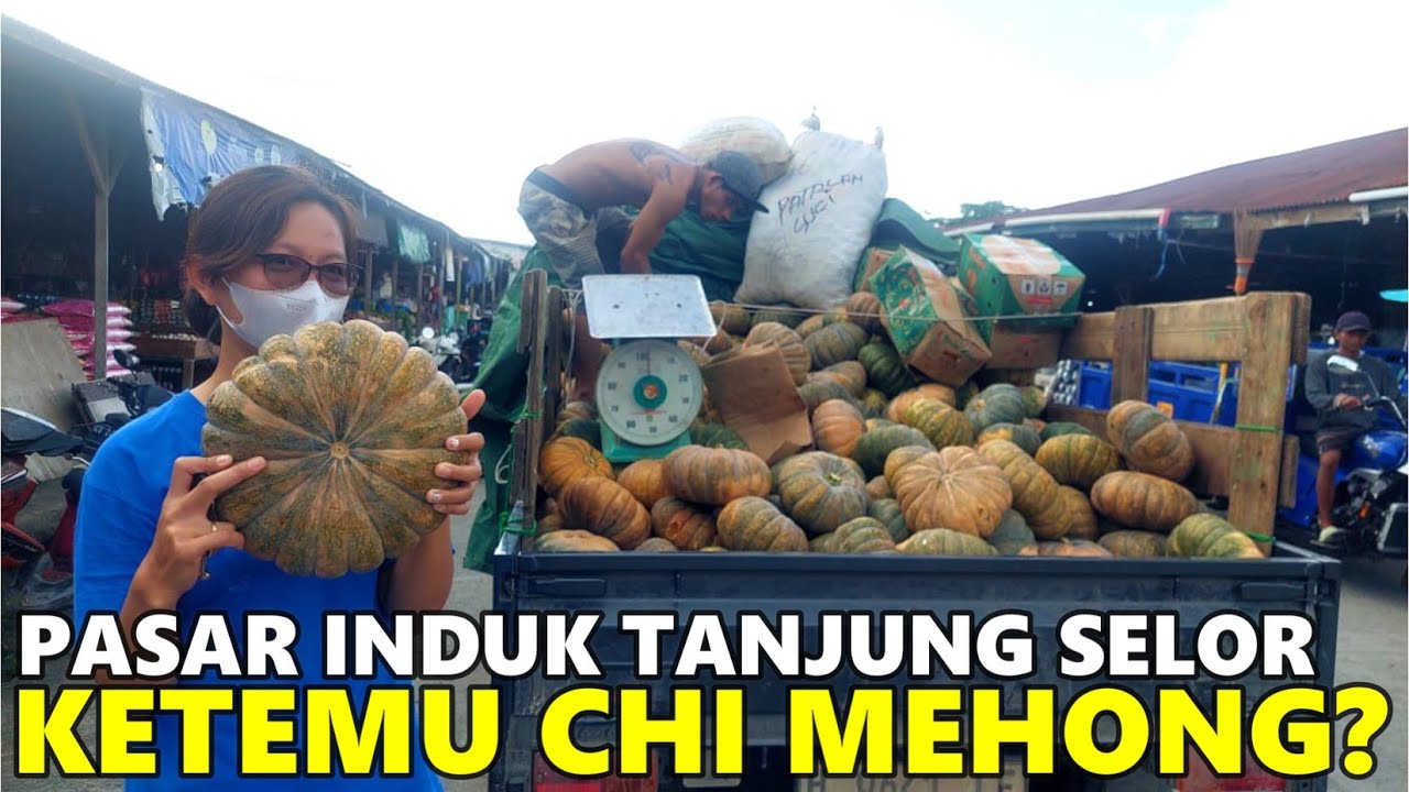 BERBURU BUAH & SAYUR ORGANIK DI PASAR INDUK TANJUNG SELOR, IBUKOTA KALIMANTAN UTARA - ADA CI MEHONG?