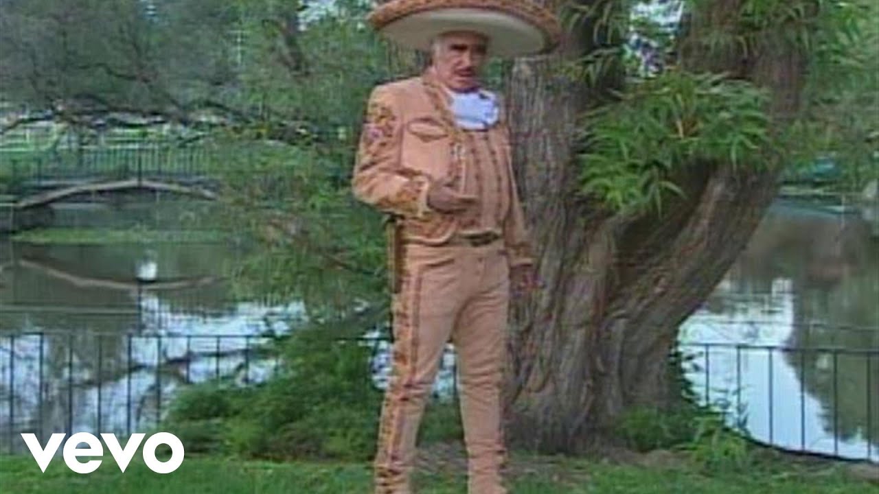 Vicente Fernández - Que Dios Te Pague