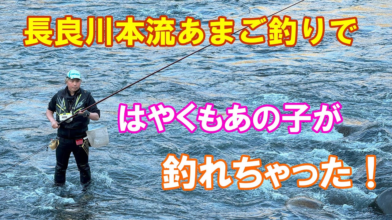 あさイチの本流あまご釣りで早くもまさかのあの子が釣れた！！！
