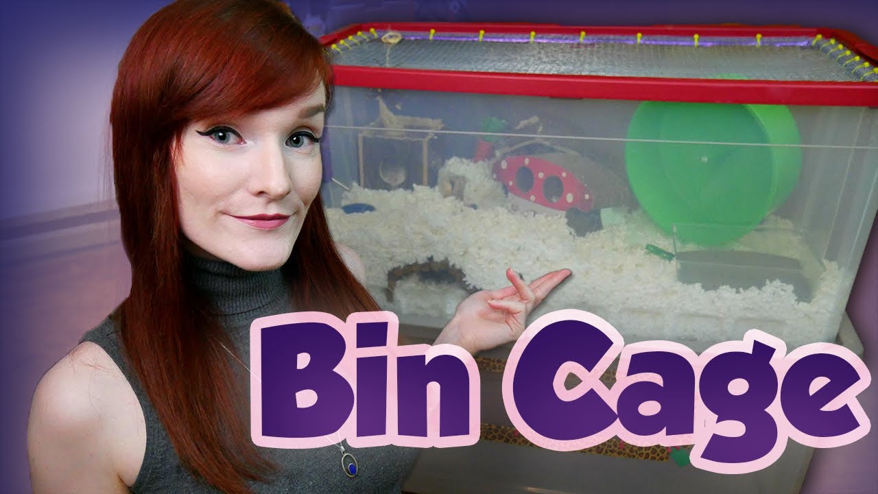 Good Cage Review | 50 gal/200qt Sterilite DIY Bin Cage | Munchie's Place