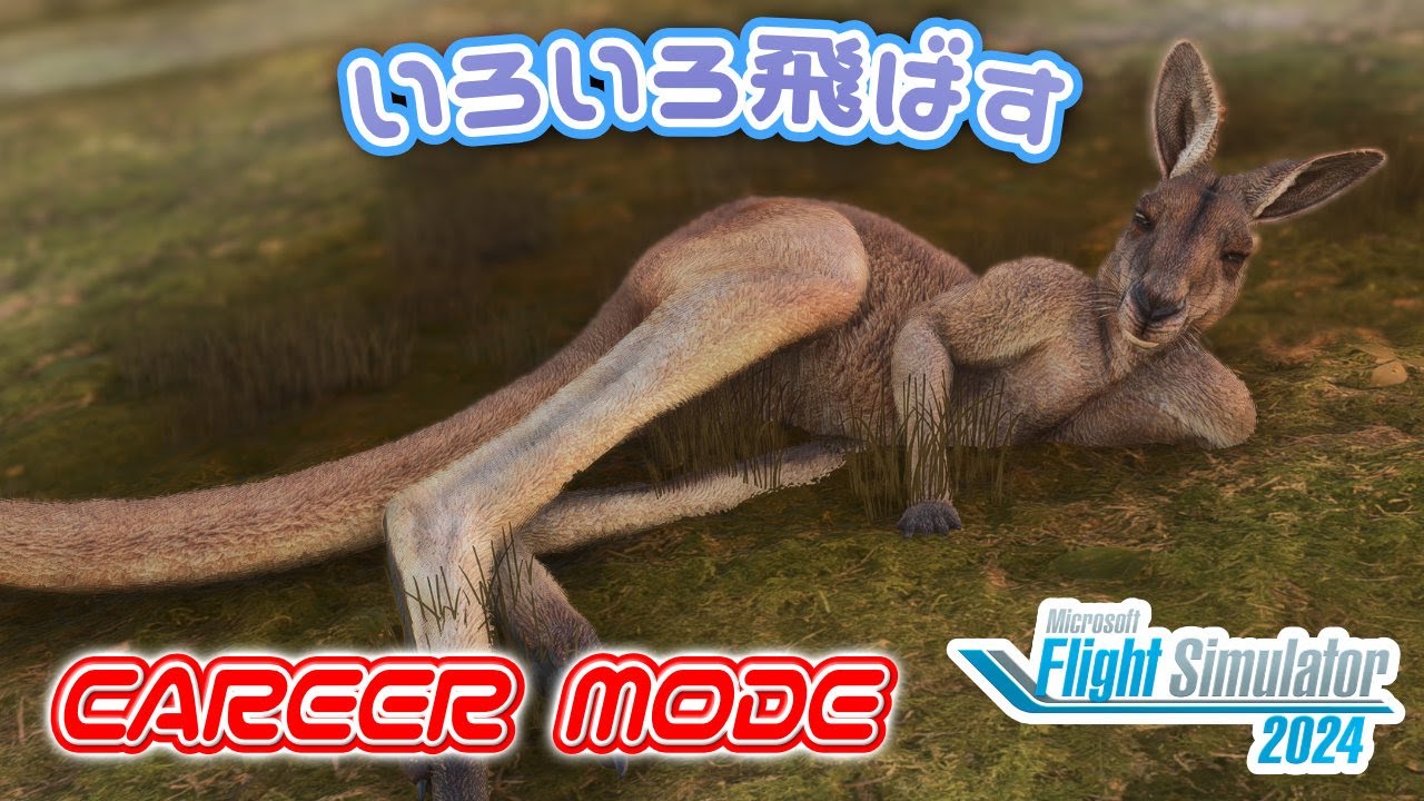 いろいろ飛ばす   | FlightSimulator2024 |