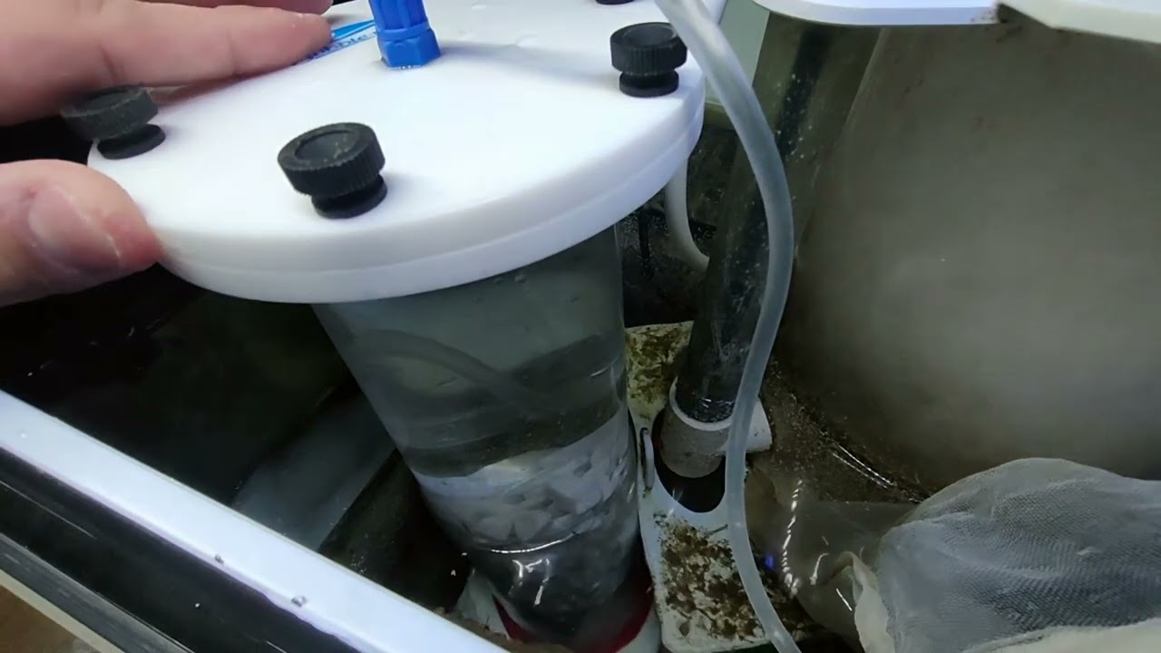 REACTOR DE CALCIO PARTE 1 - INSTALACIÓN Y CONFIGURACIÓN