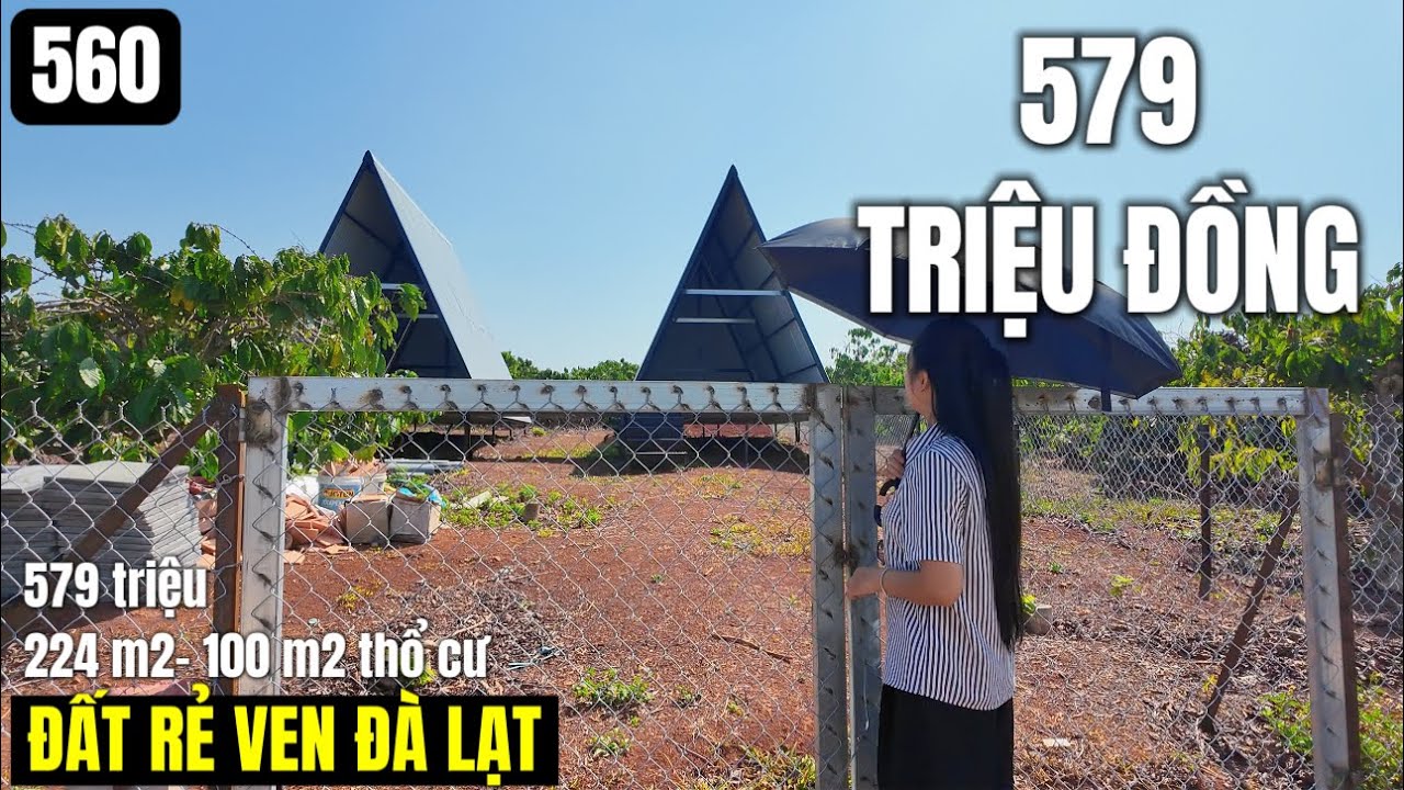 Đất rẻ ven Đà Lạt 579 triệu 224 m2 100 m2 thổ cư xây nhà đầu tư đều được