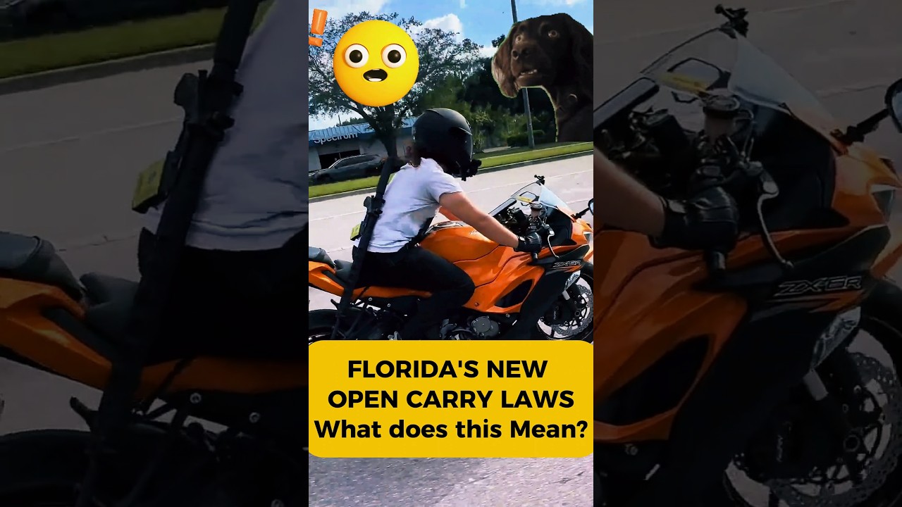Новые законы Флориды об открытом ношении оружия #viralvideo #florida #lawyer