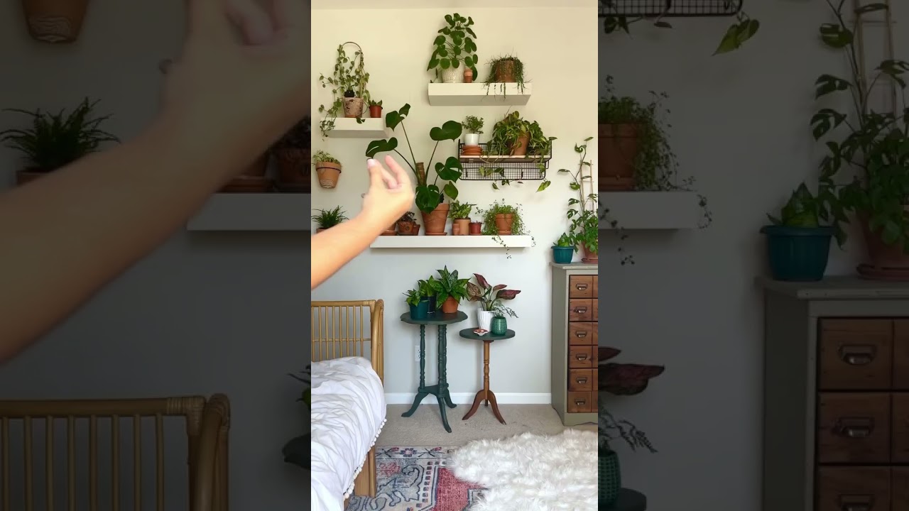 DIY plant shelves are up!
