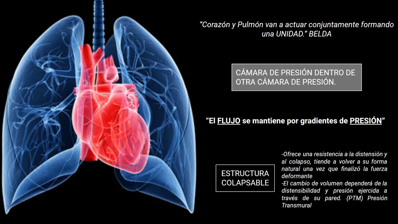 Interacción Corazón - Pulmón en Ventilación Espontanea vs Ventilación Mecánica. ROJAS
