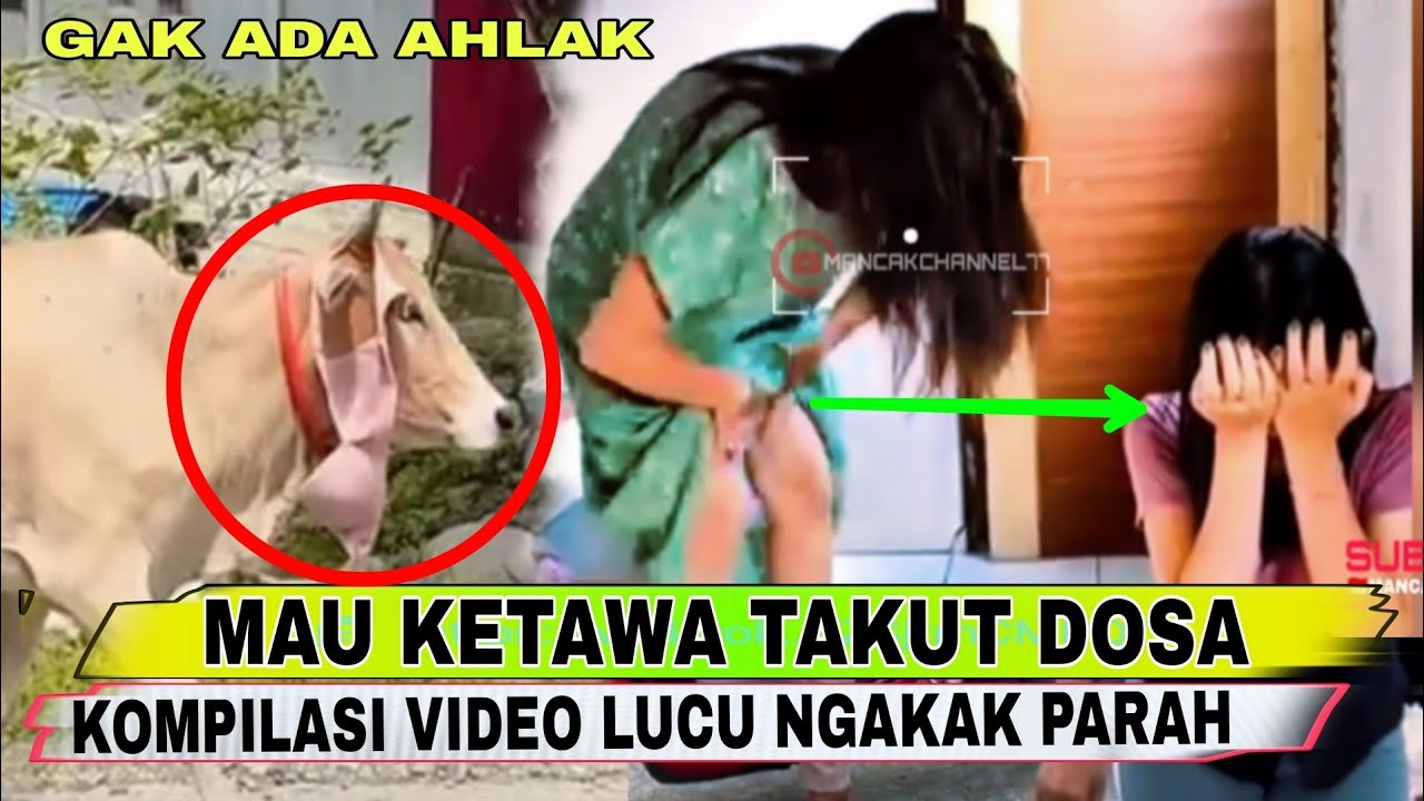 GAK ADA AHLAK ‼️MAU KETAWA TAKUT DOSA‼️KUMPULAN VIDEO LUCU TERBARU NGAKAK PARAH 2024