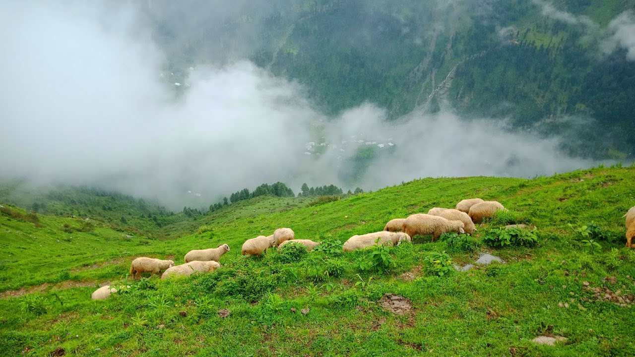 Forward Kahuta Azad Kashmir By RisingPakistan