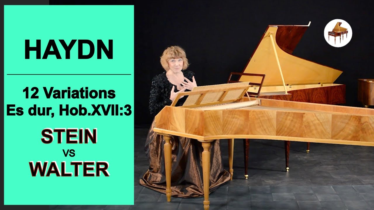 COMPARE!!! Stein & Walter pianos by Paul McNulty/Haydn 12 Variations Es dur Hob.XVII:3 V.Sofronitsky