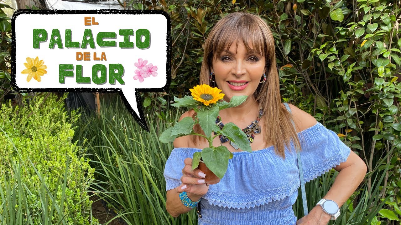 El Palacio de la Flor | Xochimilco