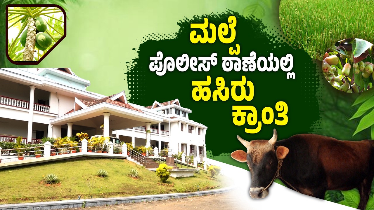 ಕಾನೂನಿನ ಜೊತೆಗೆ ಪ್ರಕೃತಿ ರಕ್ಷಣೆ | Green Police Station Malpe Udupi Story | Udayavani
