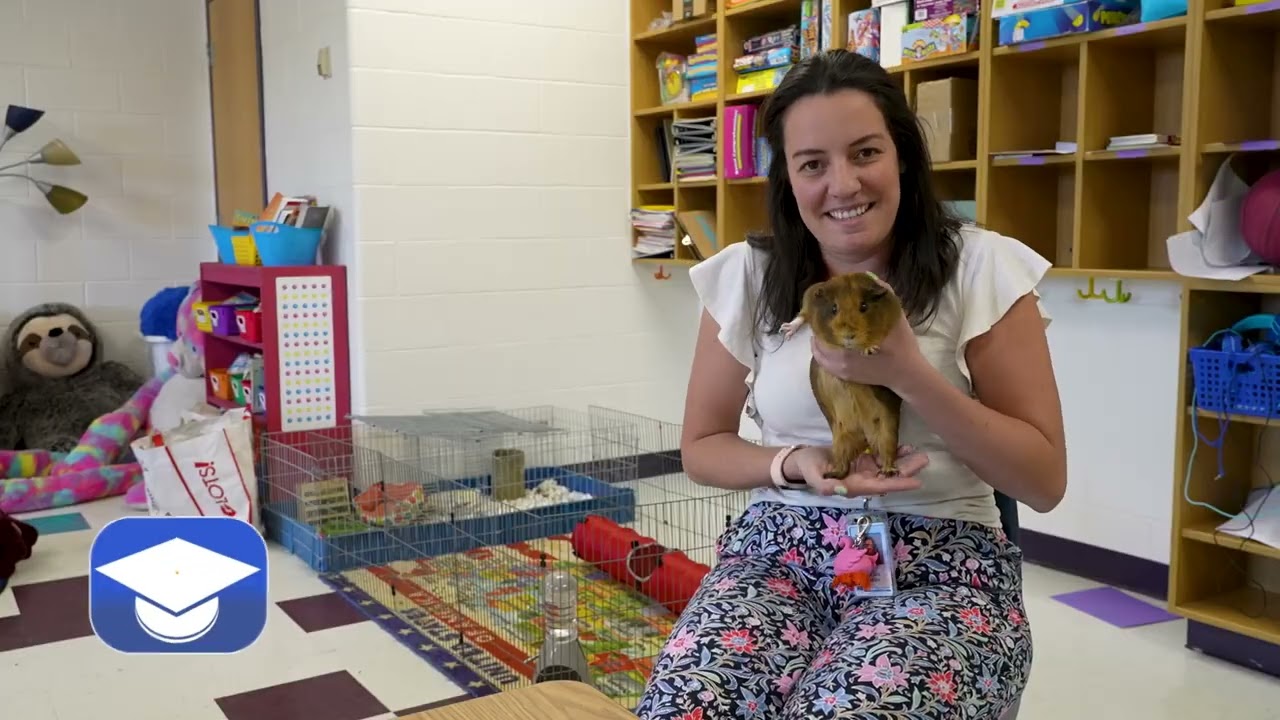 Pets of PWCS: Guinea Pigs at Bristow Run ES