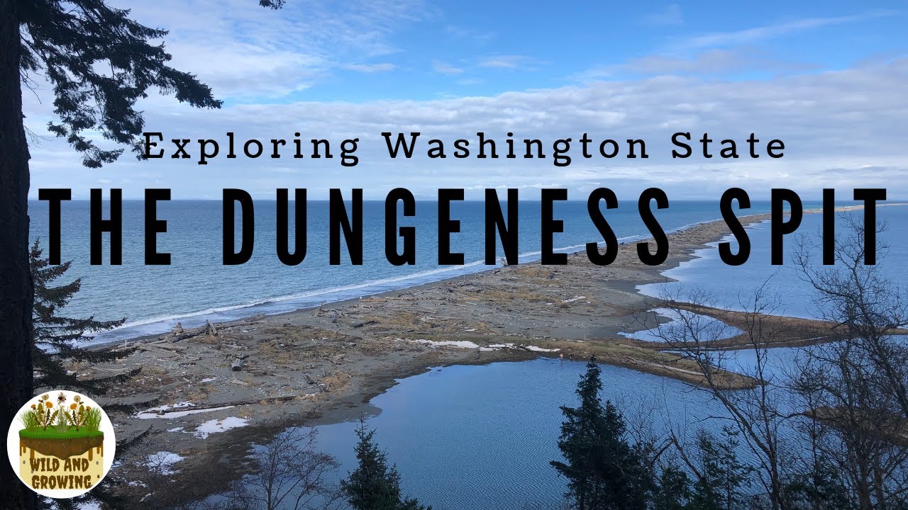 Exploring Washington State | Dungeness Spit
