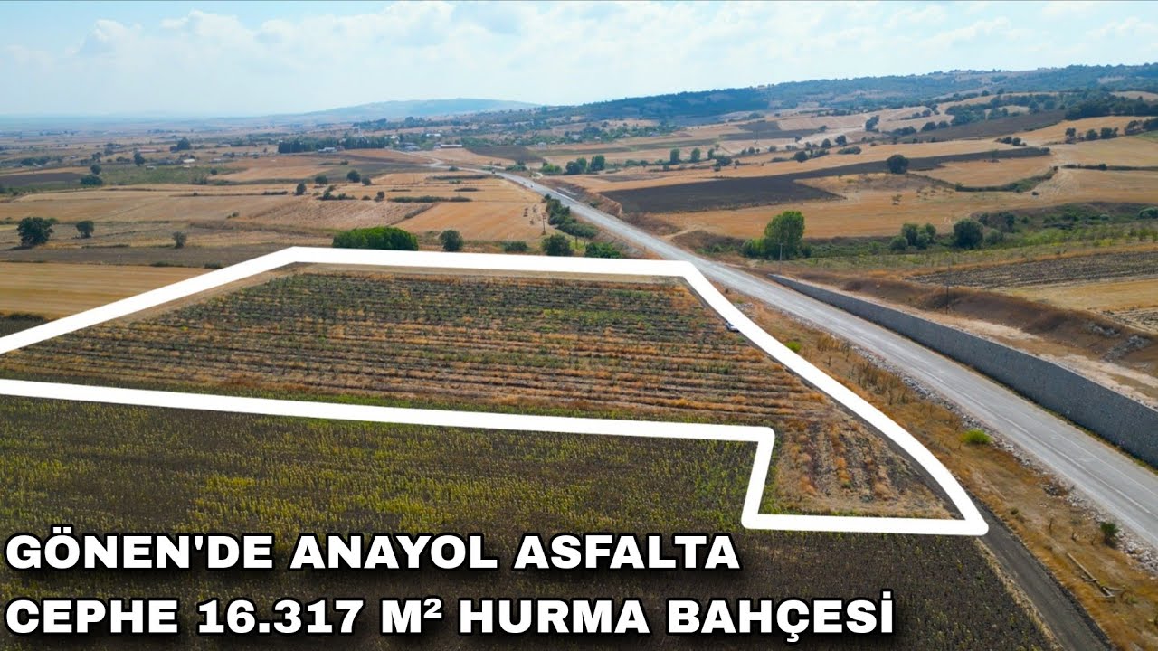 2193- GÖNEN BAYRAMİÇ'TE ANAYOL ASFALTA CEPHE 16.317 M² HURMA BAHÇESİ