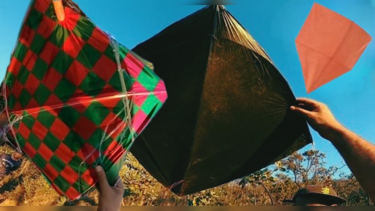 ENCONTREI O NINHO DOS PAPAGAIOS NA FLORESTA NOTURNA 