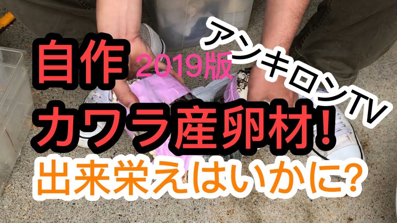 カワラ産卵材の出来はどう？