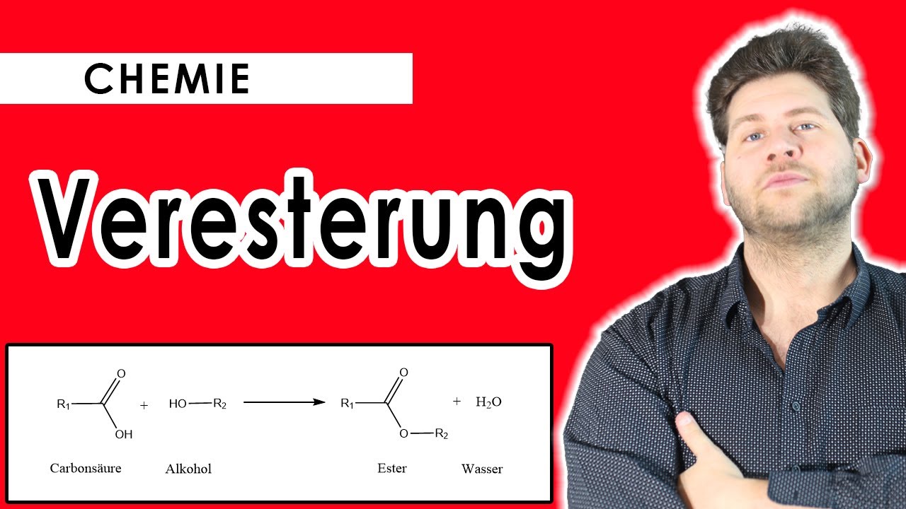 Veresterung -  Veresterung einfach erklärt - Mechanismus und Beispiel