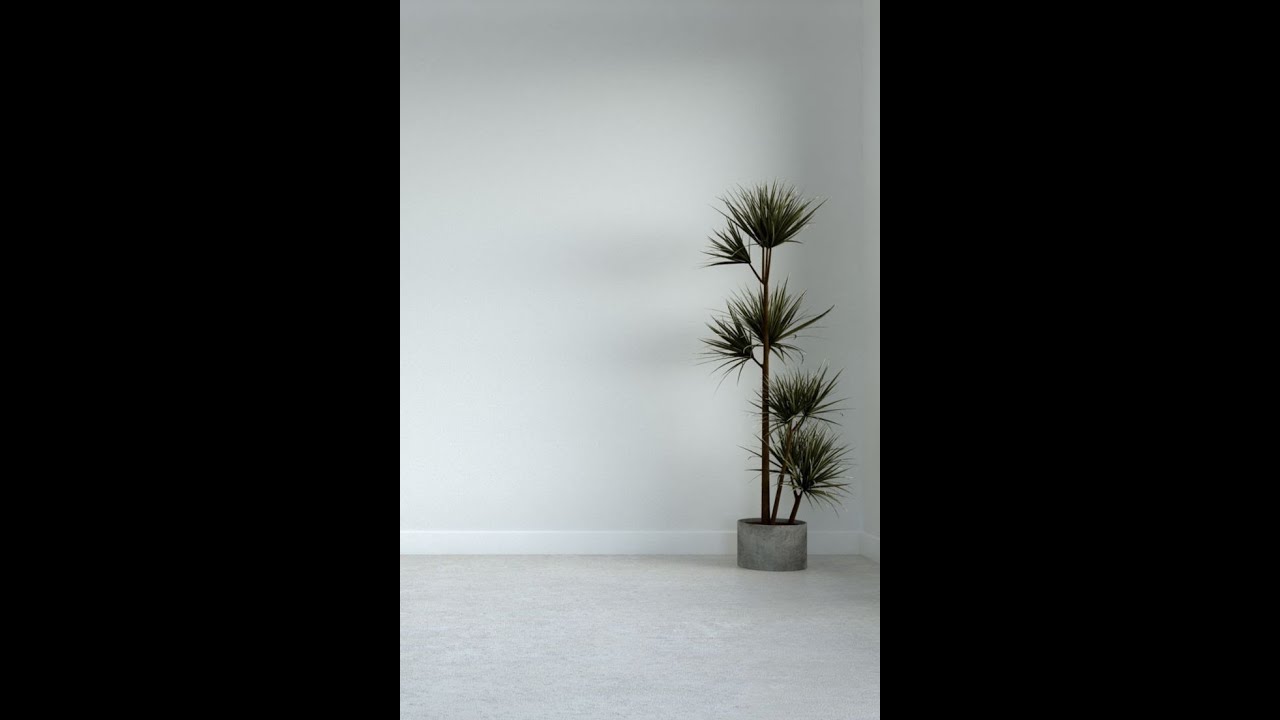 Night of Songs || Late ELder Eno Abia-Bassey