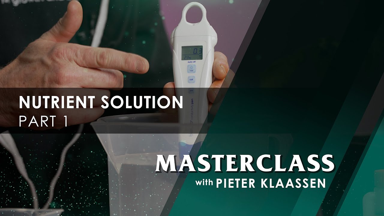 Мастер-класс CANNA &ndash; Решение проблемы питательных веществ. Часть 1.