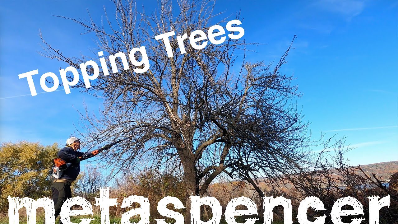 Topping Trees