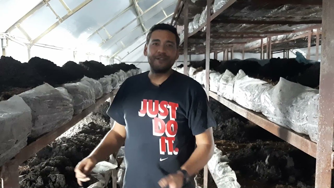 Kompost düzleme ve örtü toprağı serme